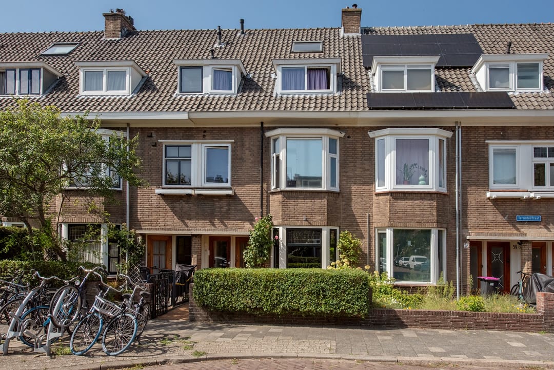 Foto 1 van Ternatestraat 55