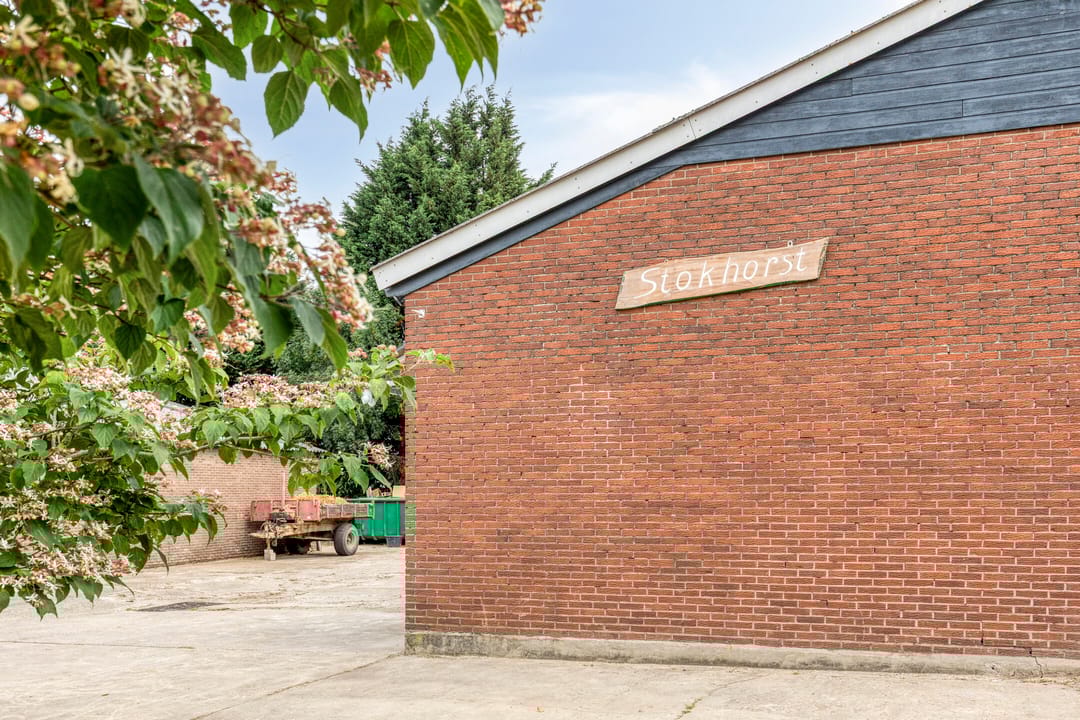 Foto 8 van Parksesteeg 4