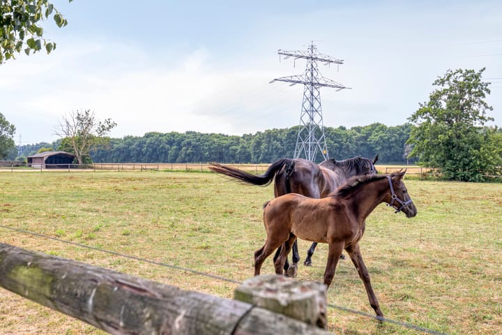 Foto 38 van Parksesteeg 4