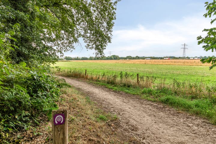 Foto 40 van Parksesteeg 4