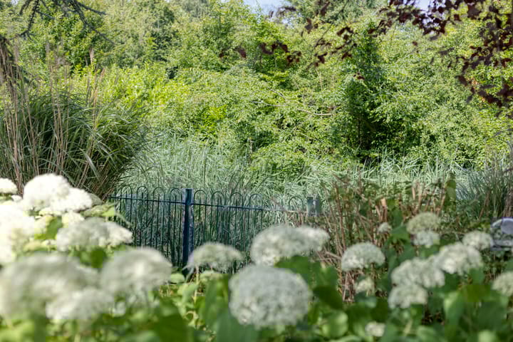 Photo 31 of Uitloop 36