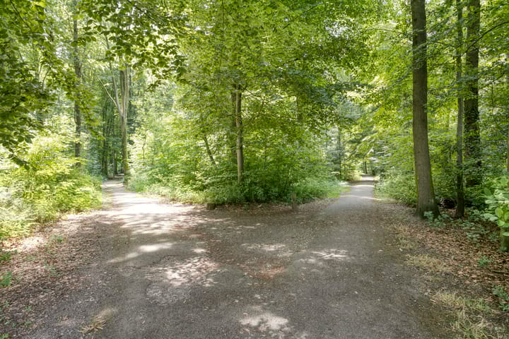 Photo 49 of Uitloop 36