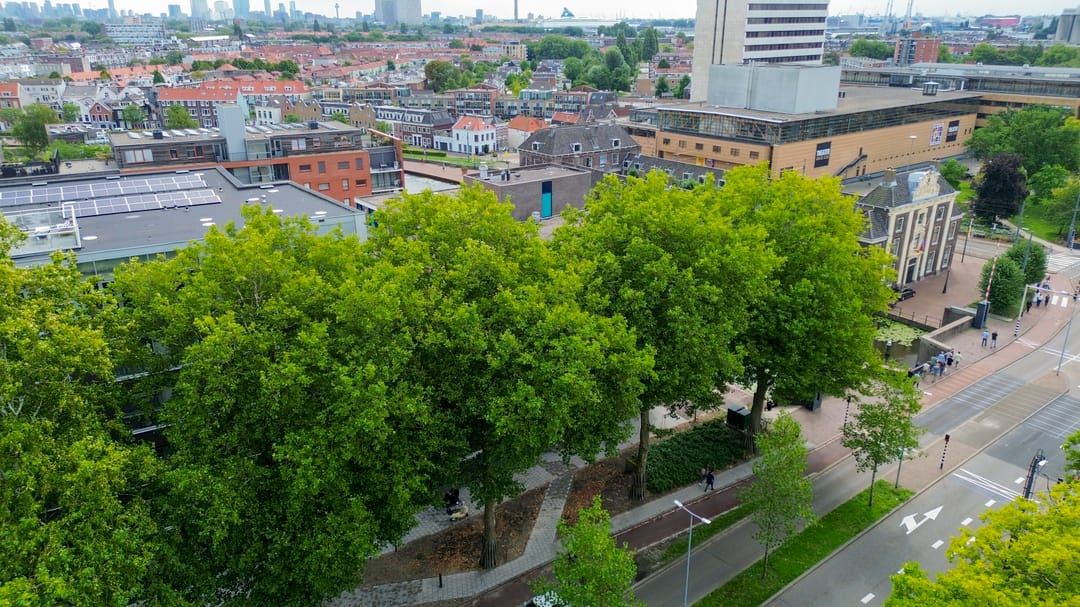 Foto 32 van 's-Gravelandseweg 619