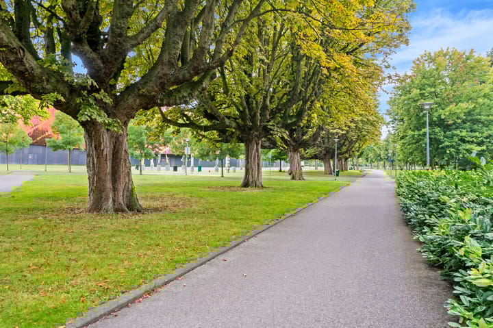 Foto 46 van Groenteweg 10