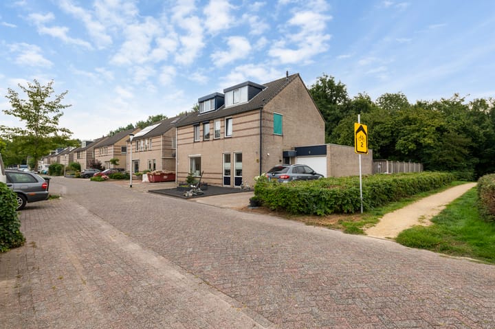 Foto 3 van Zonnebloempad 38