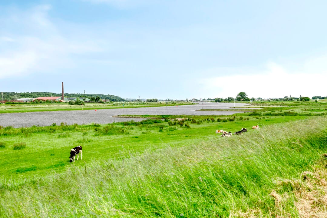 Foto 46 van Smidsakker 13