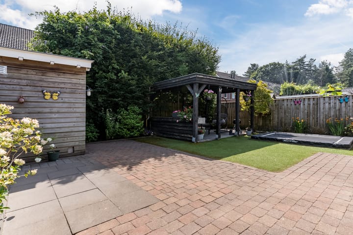 Foto 37 van Schaapsheide 12