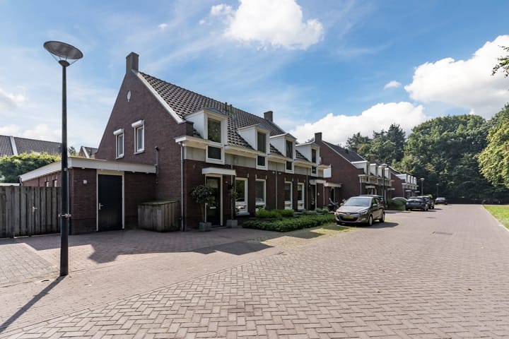 Foto 46 van Schaapsheide 12