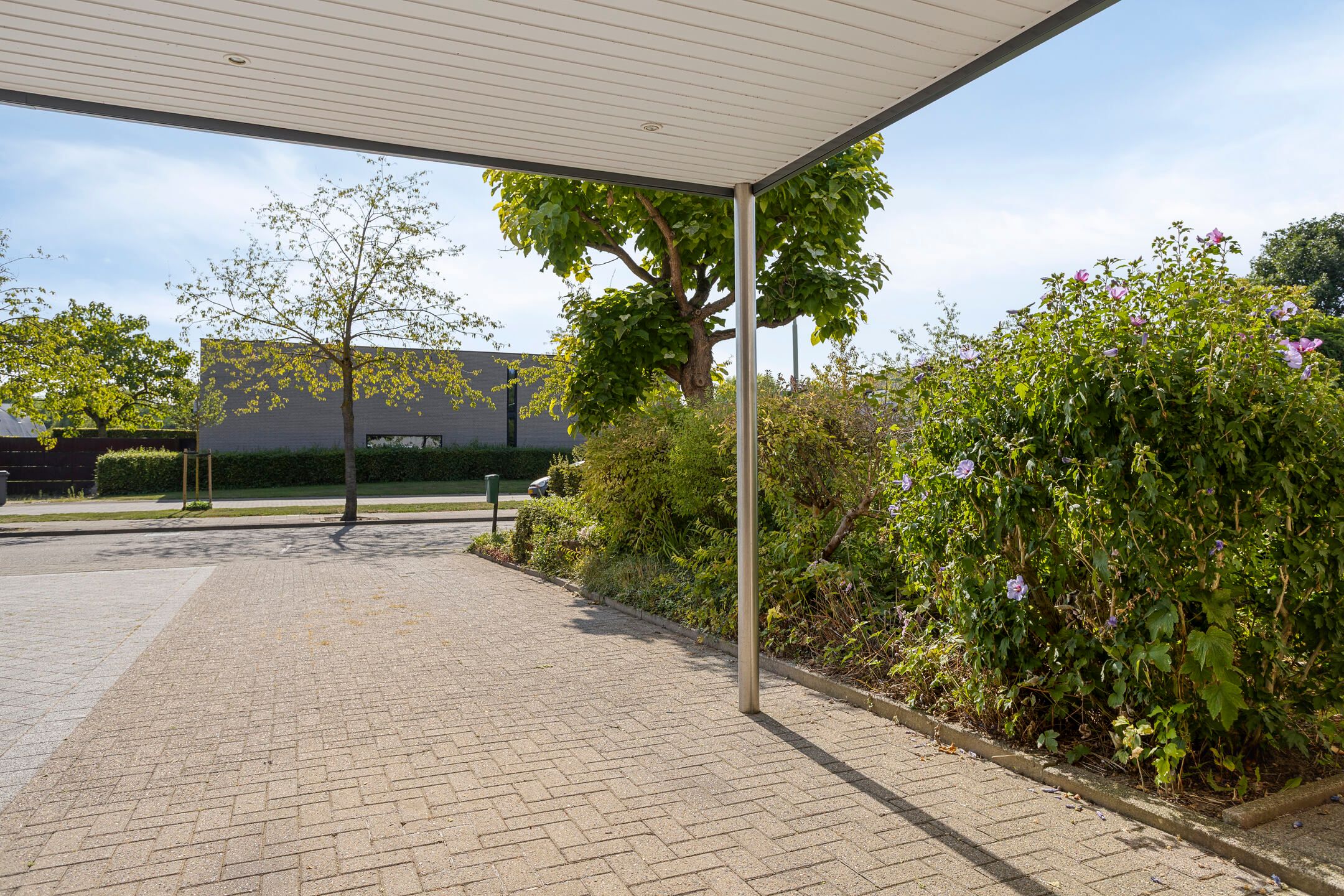 Foto 3 van Prof. Eykmanlaan 27