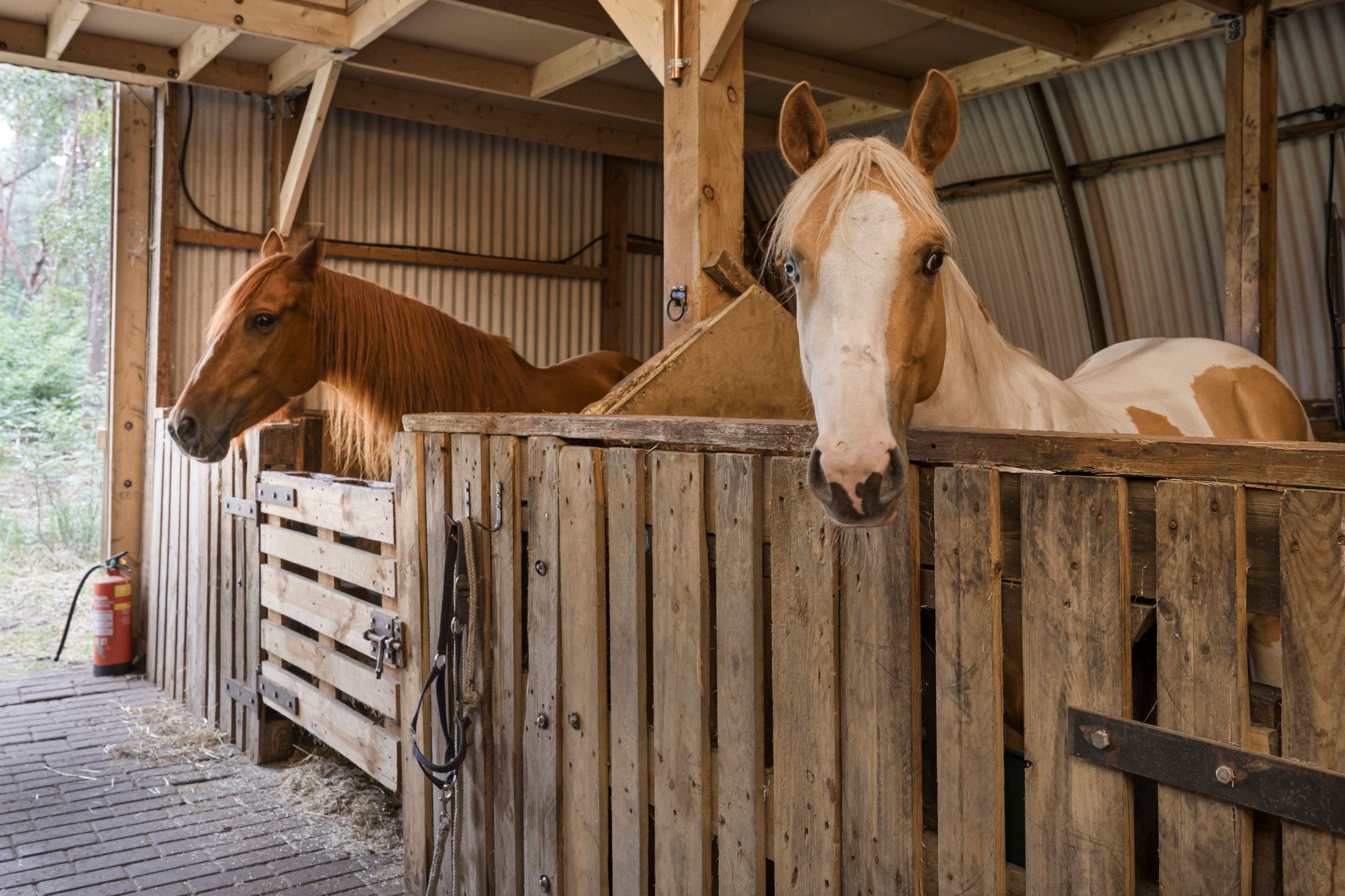 Foto 63 van Bergsebaan 4