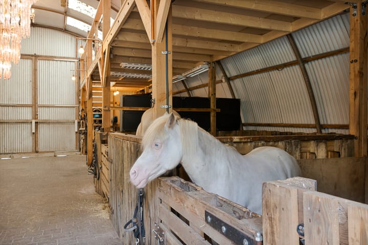 Photo 64 of Bergsebaan 4