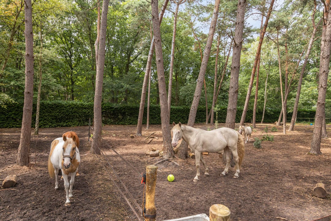 Foto 67 van Bergsebaan 4