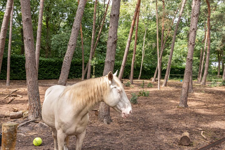 Photo 68 of Bergsebaan 4