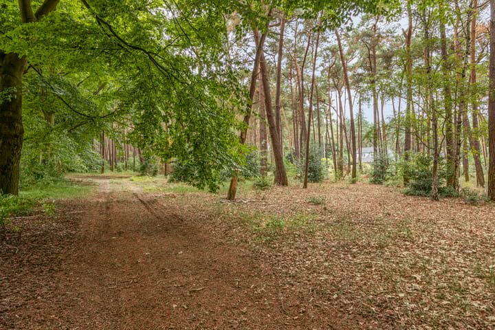 Photo 69 of Bergsebaan 4