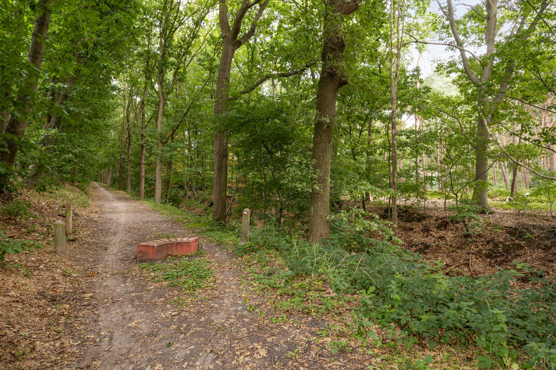 Foto 72 van Bergsebaan 4