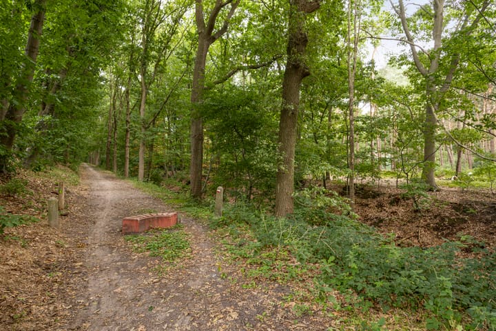 Photo 72 of Bergsebaan 4