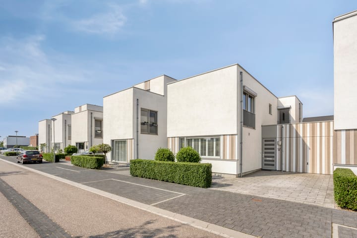 Photo 1 of Teunisbloem 6