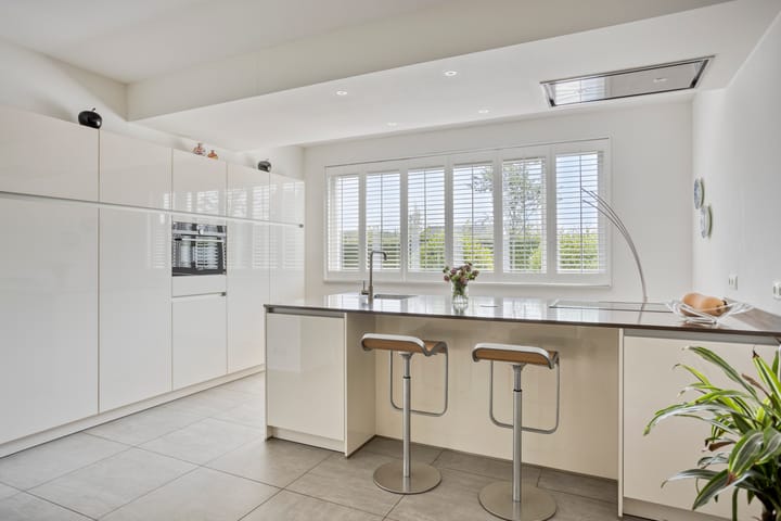 Photo 3 of Teunisbloem 6