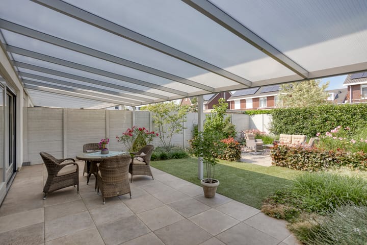 Photo 4 of Teunisbloem 6