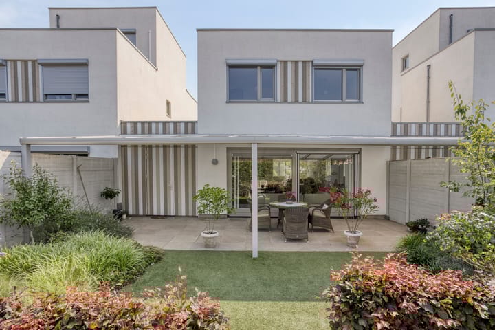 Photo 5 of Teunisbloem 6