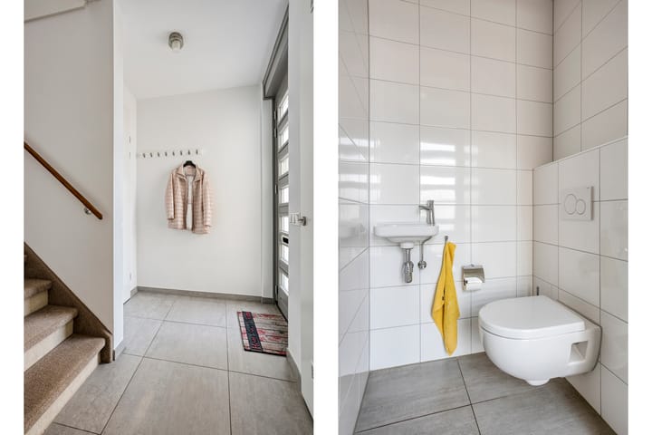 Photo 6 of Teunisbloem 6