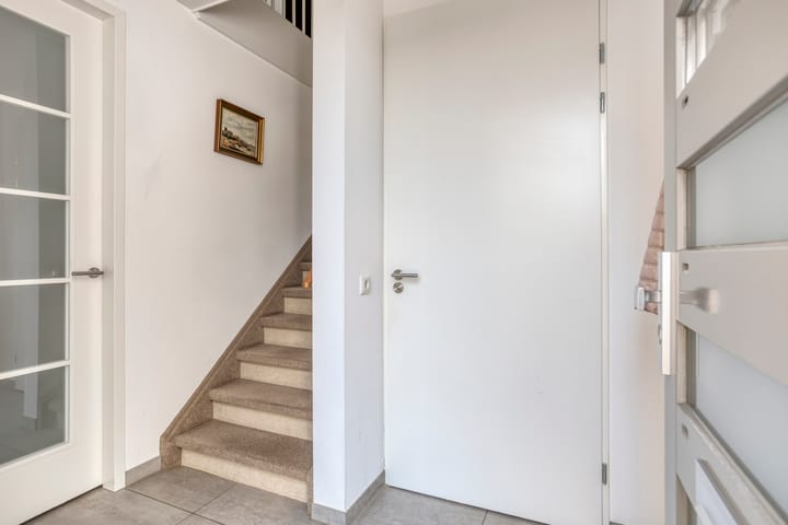 Photo 7 of Teunisbloem 6