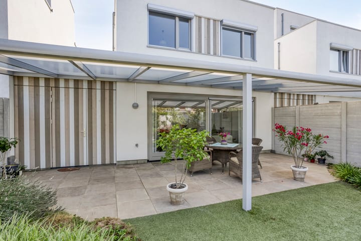 Photo 26 of Teunisbloem 6