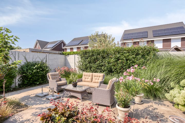 Photo 27 of Teunisbloem 6