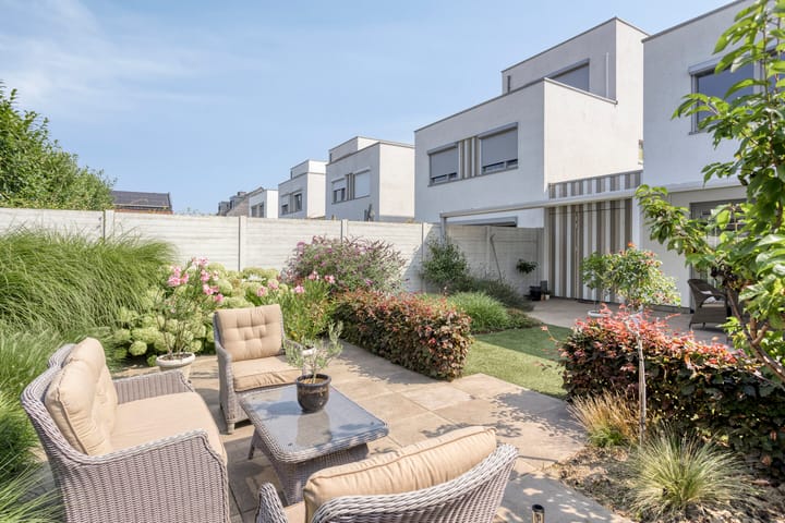 Photo 28 of Teunisbloem 6