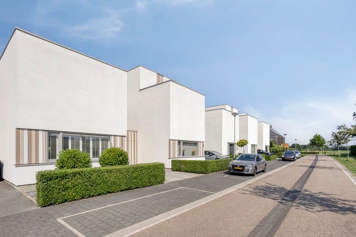 Photo 29 of Teunisbloem 6