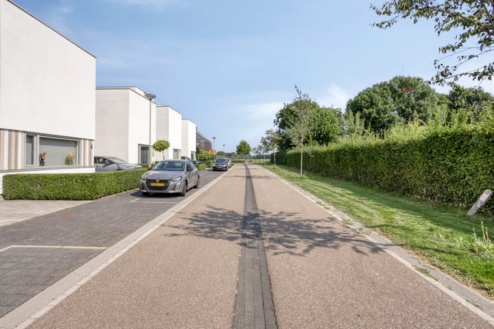 Photo 30 of Teunisbloem 6