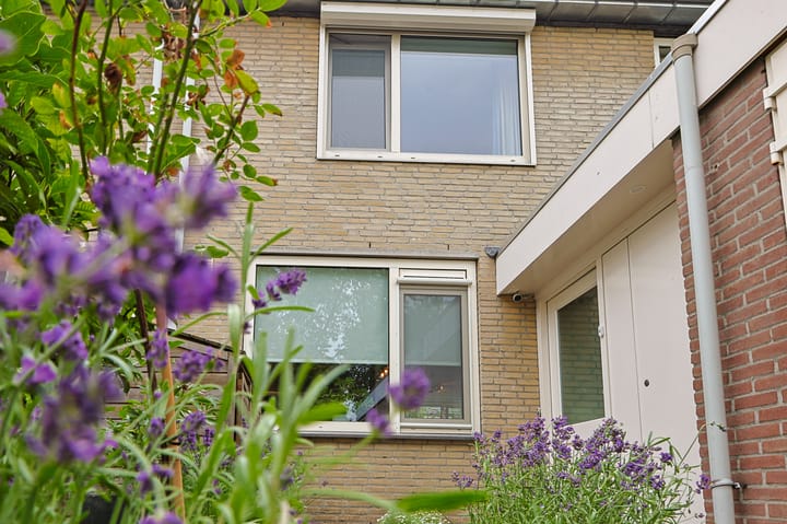 Foto 4 van Duinbeek 5