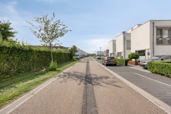 Photo 31 of Teunisbloem 6