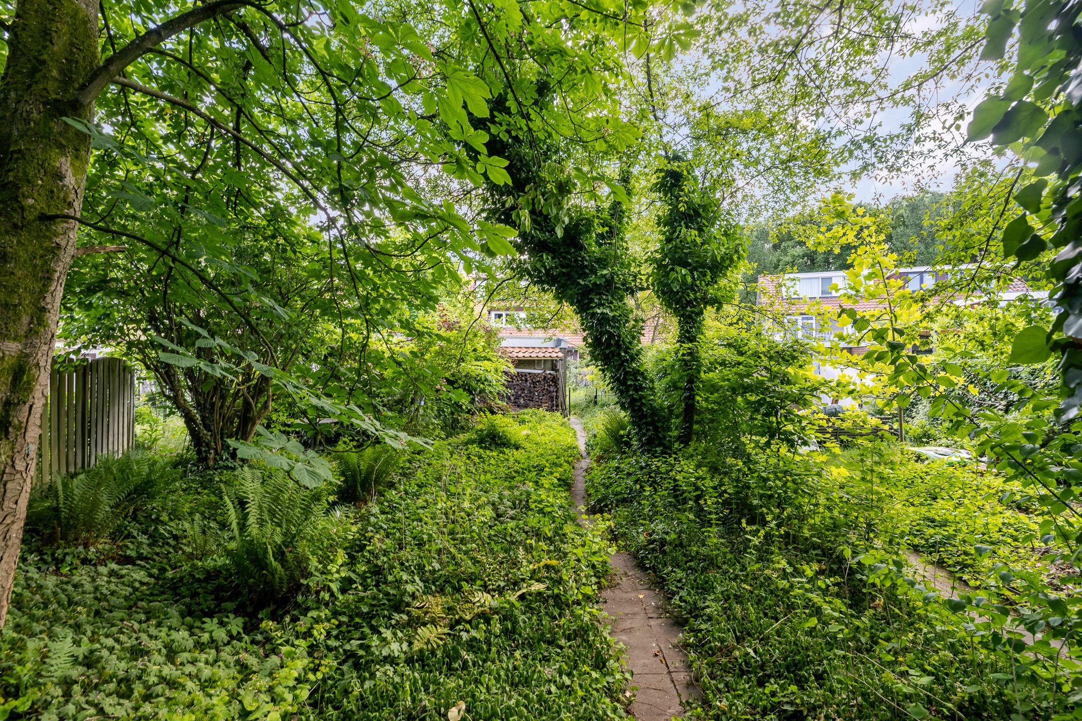 Foto 33 van Smeleweg 37