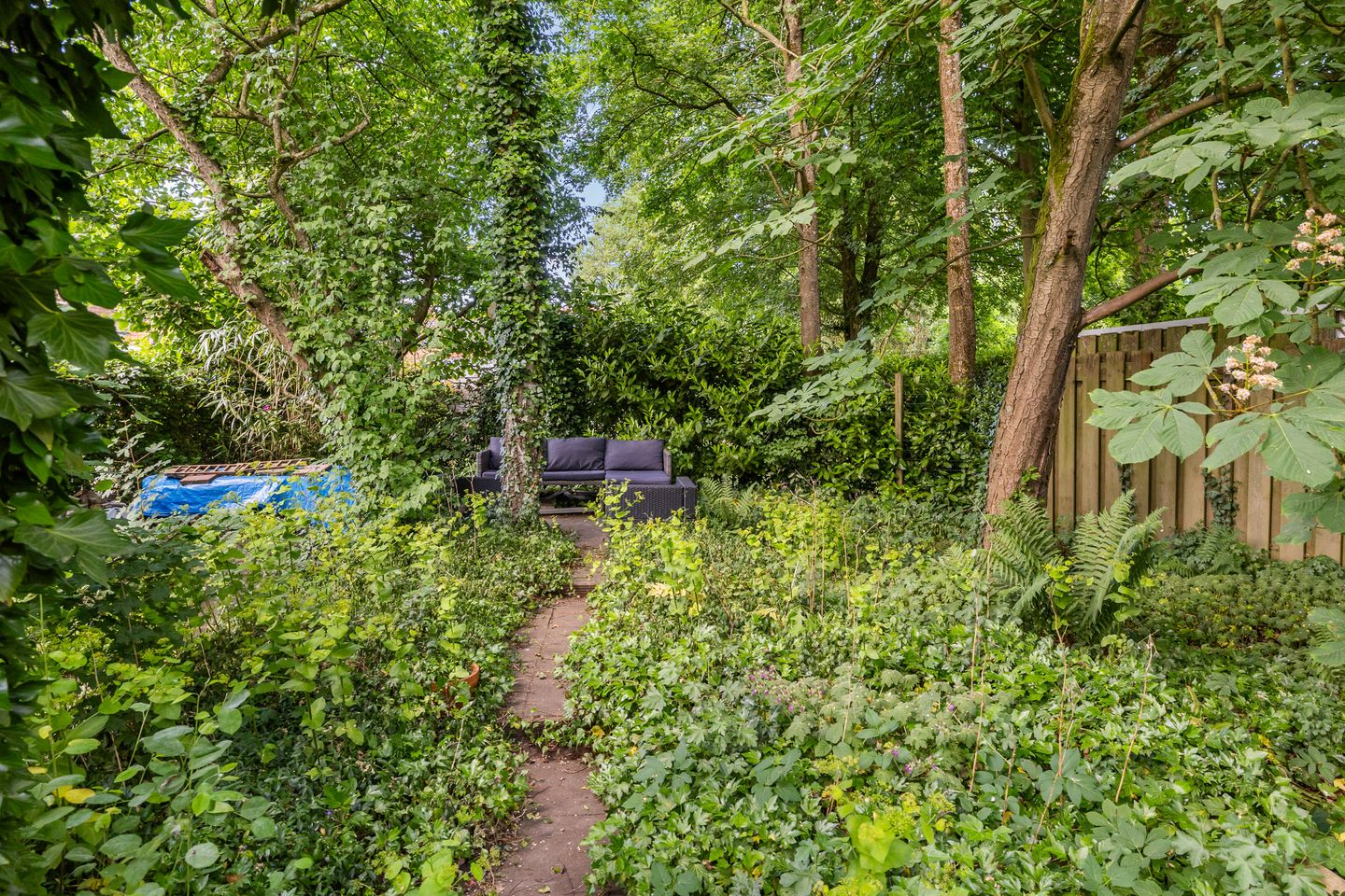 Foto 34 van Smeleweg 37