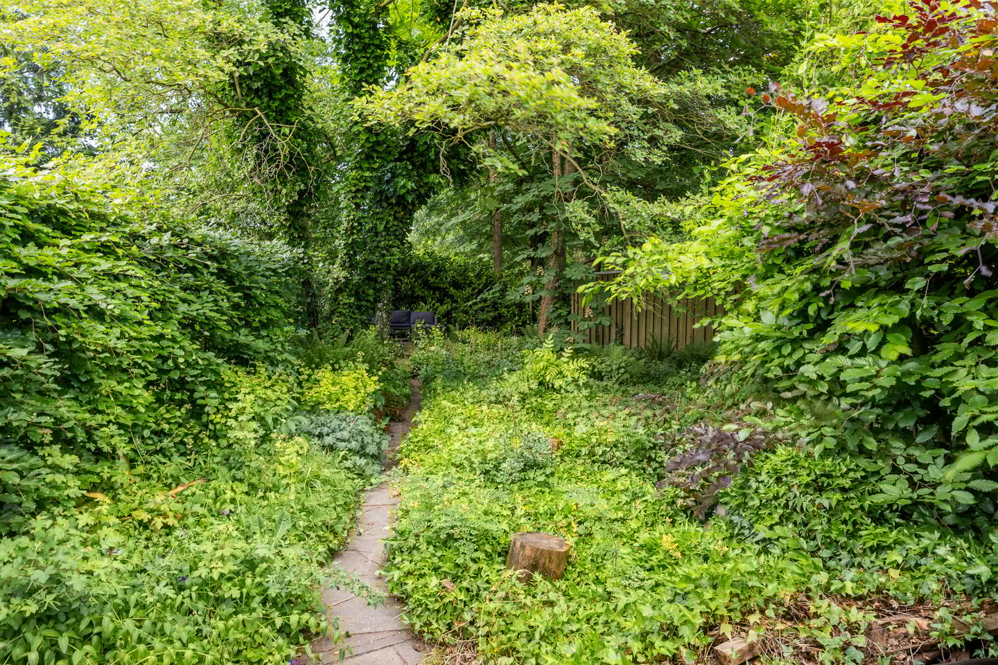 Foto 35 van Smeleweg 37