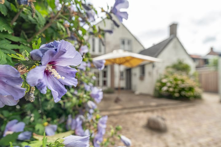 Foto 42 van Damstraat 96