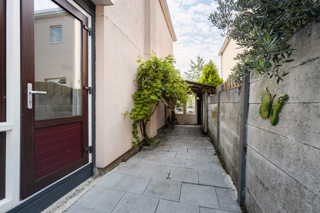 Foto 28 van Van Hallstraat 19