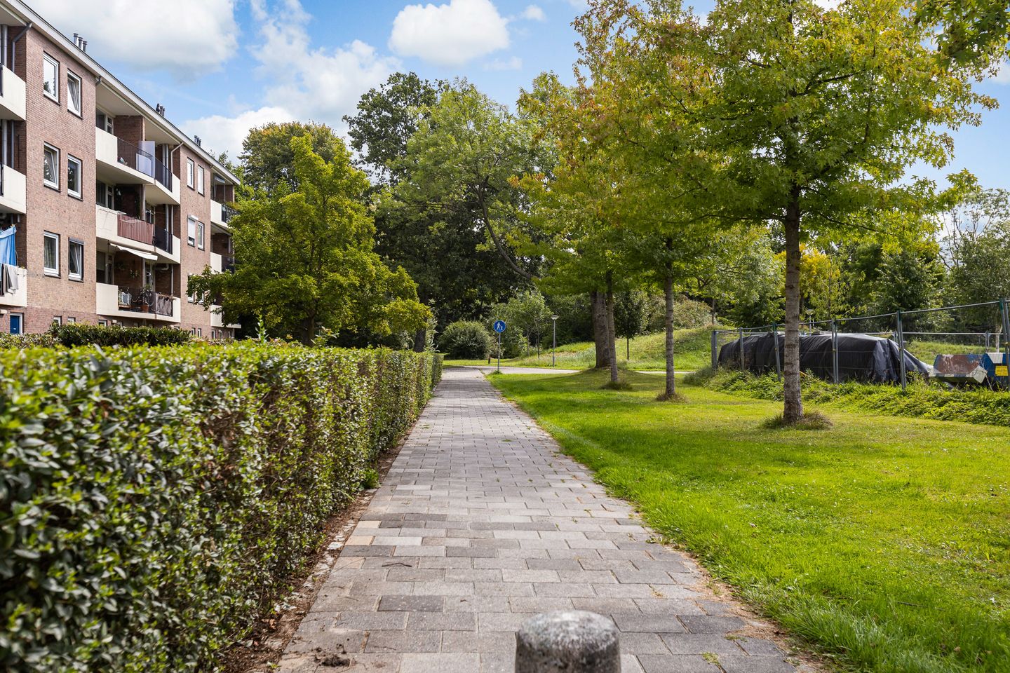 Foto 34 van Van Hallstraat 19