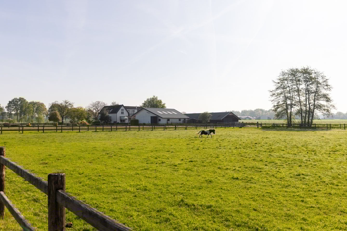 Bekijk foto 5 van Klein Moorst 14
