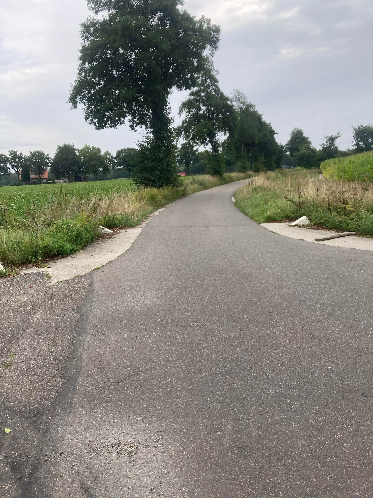 Bekijk foto 5 van Breetse Peelweg