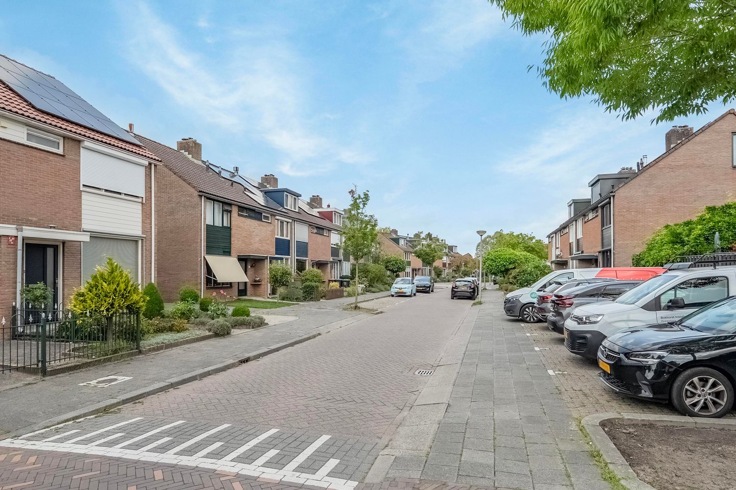 Foto 29 van Koolmees 58