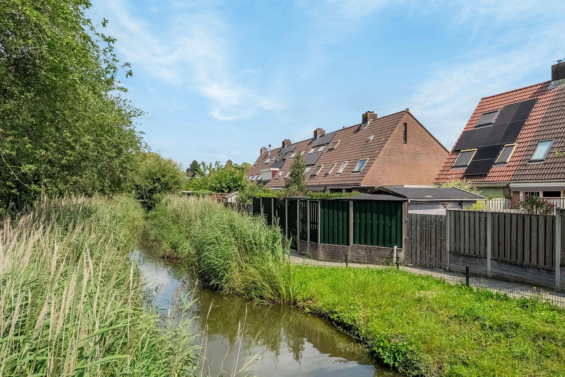 Foto 30 van Koolmees 58