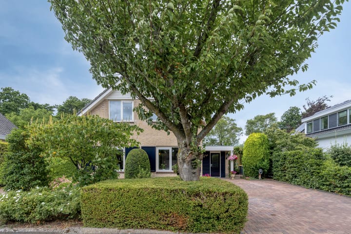 Foto 6 van Grevelingenhout 181