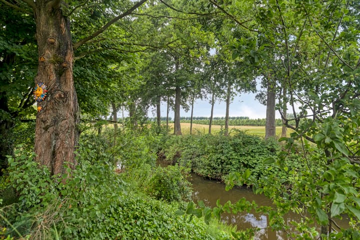 Foto 38 van Grevelingenhout 181