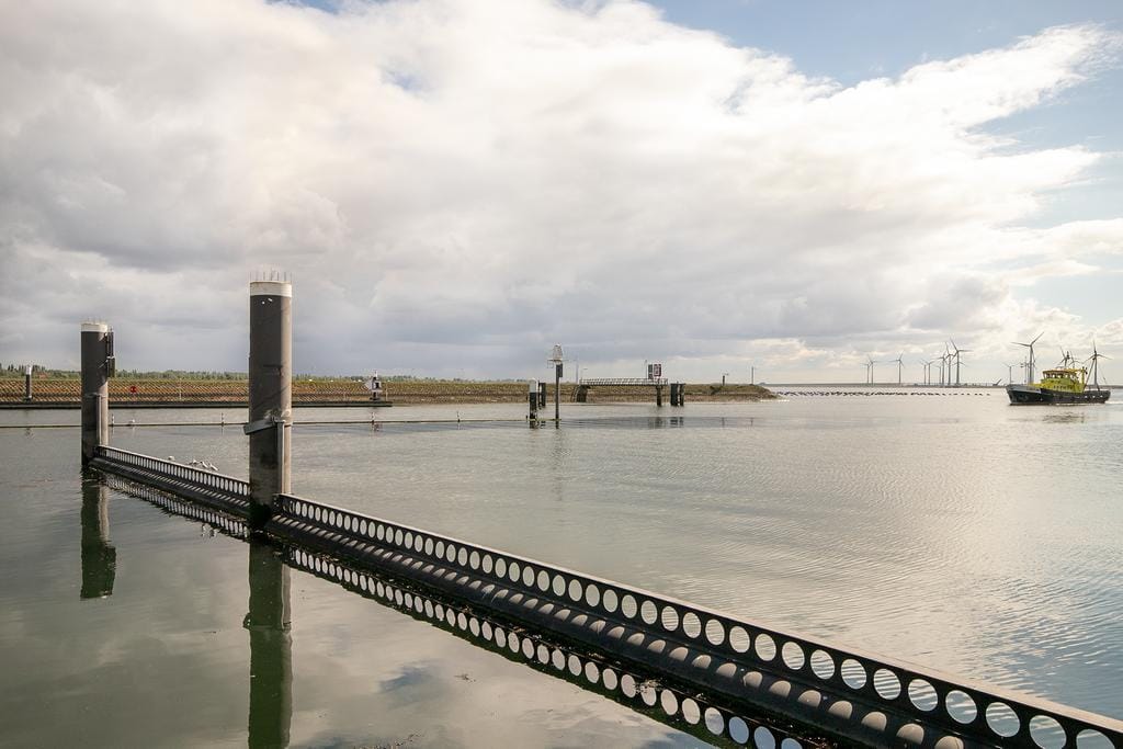 Photo 47 of Grevelingenhout 181