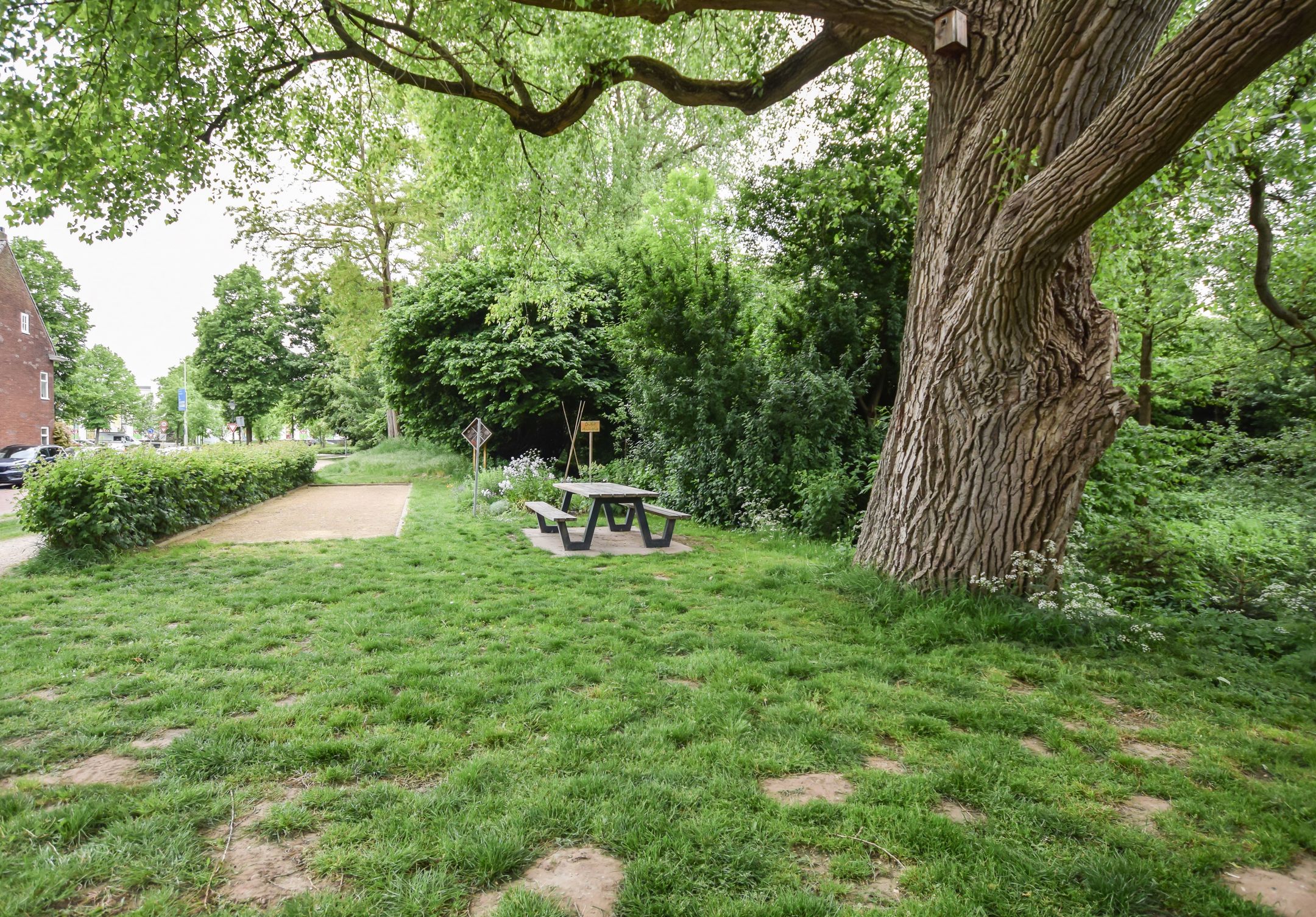 Foto 48 van Ackersdijckstraat 2