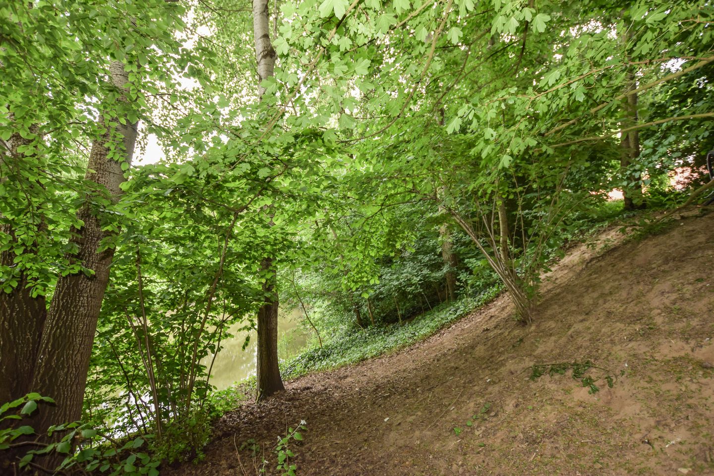 Foto 49 van Ackersdijckstraat 2