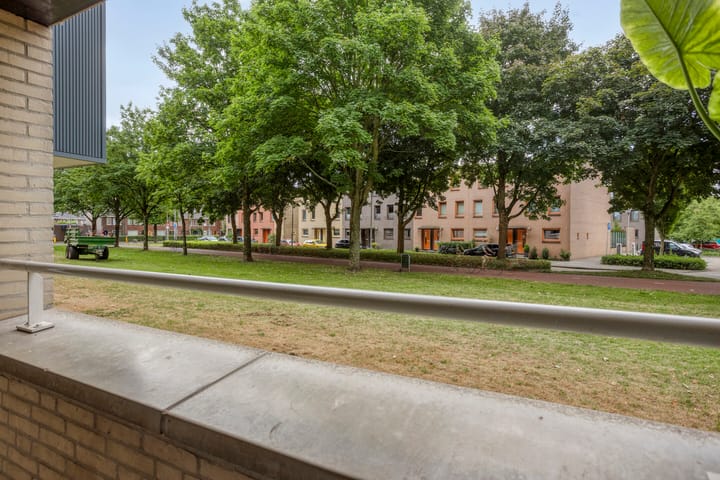 Foto 14 van Boksdoornerf 88