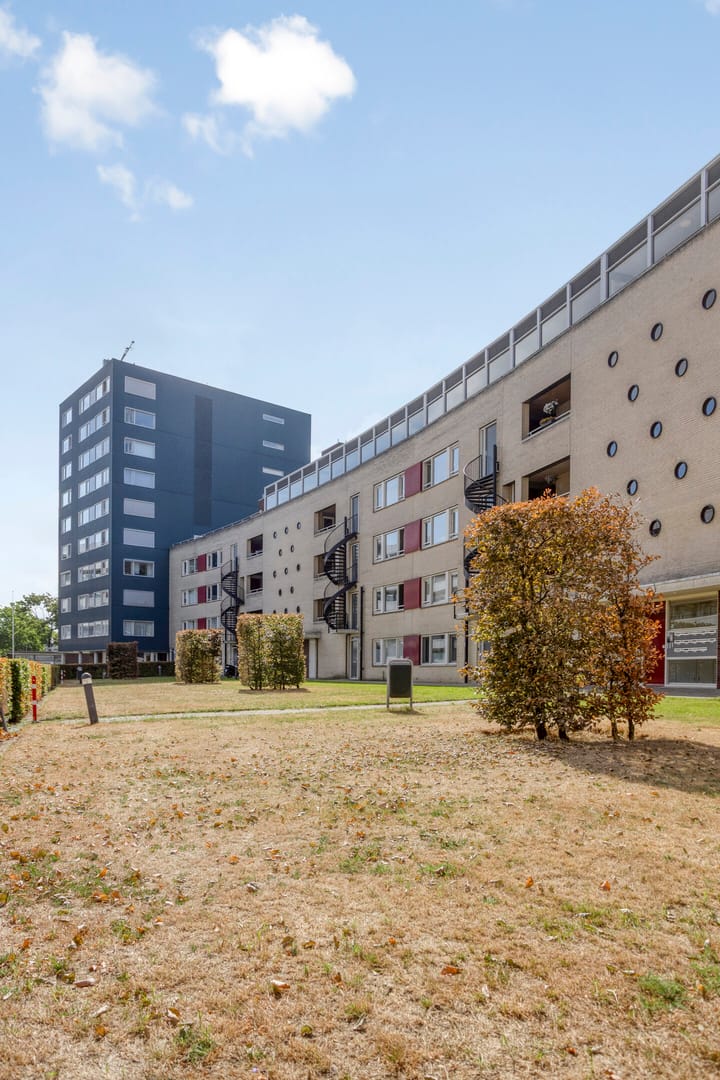 Foto 28 van Boksdoornerf 88